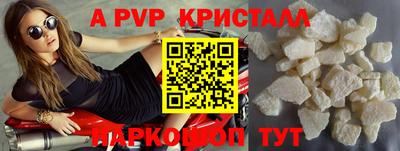 СК Бийск