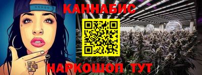 СК Бийск