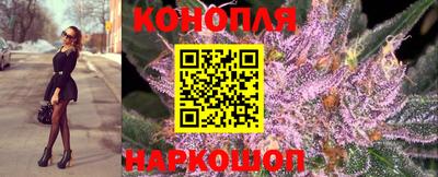 гидра Берёзовский