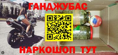 СК Бийск