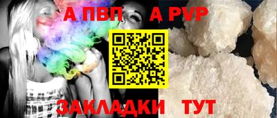 СК Бийск