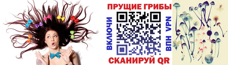 Псилоцибиновые грибы Cubensis  Иваново 