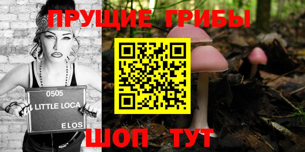 Псилоцибиновые грибы ЛСД  Вход с VPN  Псилоцибиновые грибы Psilocybine cubensis  Иваново 
